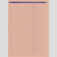 Arbeitskarten neutral DIN A4, 250 Stück/Pack