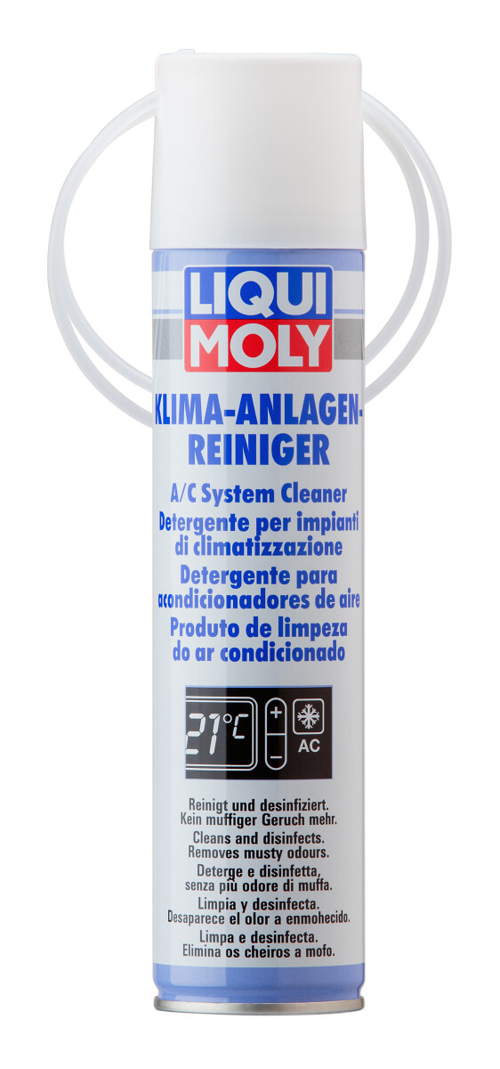 Klimaanlagenreiniger, 250 ml, Dose Aerosol